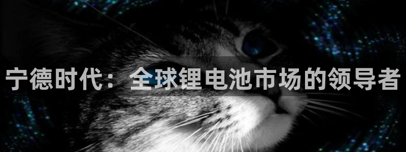 tp钱包如何切换中文：宁德时代：全球锂电