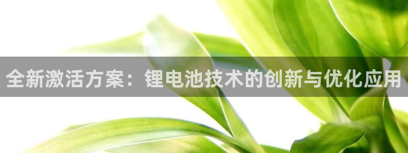 tp钱包下载官网最新版：全新激活方案：锂